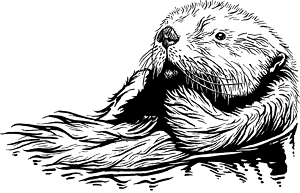 Sea otter resting